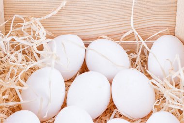 Beyaz Tavuk Yumurtaları