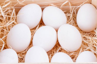 Beyaz Tavuk Yumurtaları