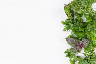 maydanoz, dereotu, kereviz, kekik, mercanköşk selâmotu tarhun adaçayı, metin için yer