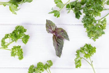 Taze baharatlar ve bitkiler.