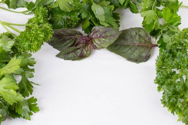 maydanoz, dereotu, kereviz, kekik, mercanköşk selâmotu tarhun adaçayı, metin için yer