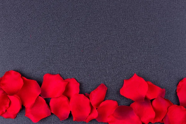 Artificial petals black background frame — Stock Photo, Image