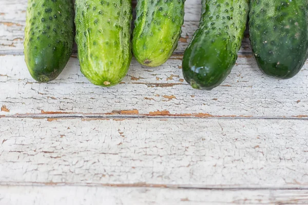 Gurkor på vit bakgrund — Stockfoto