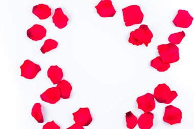 Çerçeve çok yapay gül yaprağı