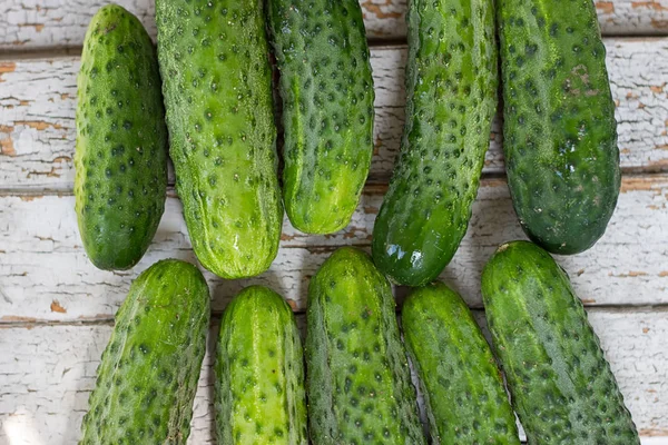 Pepinos sobre fundo branco — Fotografia de Stock