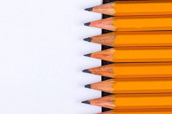 Simple pencils, a blank sheet — Stock Photo, Image