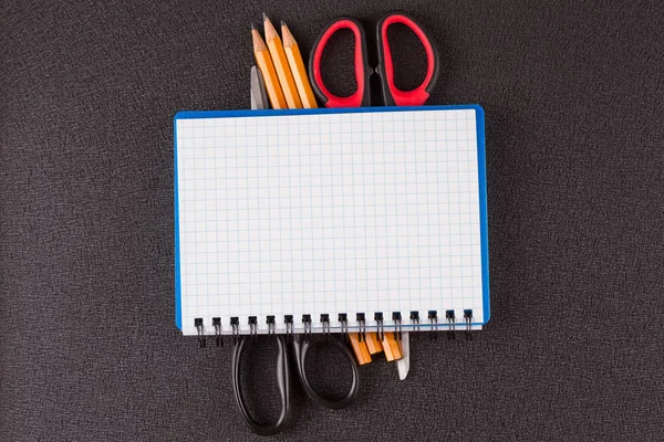 Üstten görünüm açık sarmal boş defter