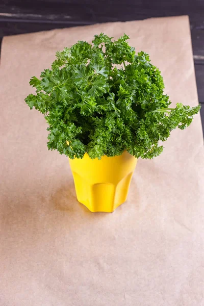 Su ile taze maydanoz bir kavanozun içinde damla