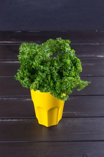 Su ile taze maydanoz bir kavanozun içinde damla