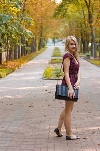Girl d on the autumn alley — Stock Photo, Image