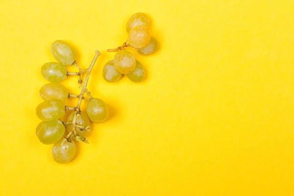 Grüner Traubenstrauß — Stockfoto