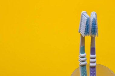 Sarı zemin üzerine diş fırçaları