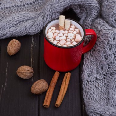 Sıcak kakao marshmallows baharatlar ile ile