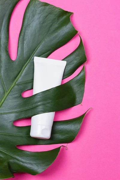 Kozmetik şişe kapları ile yeşil bitki yaprakları Telifsiz Stok Imajlar