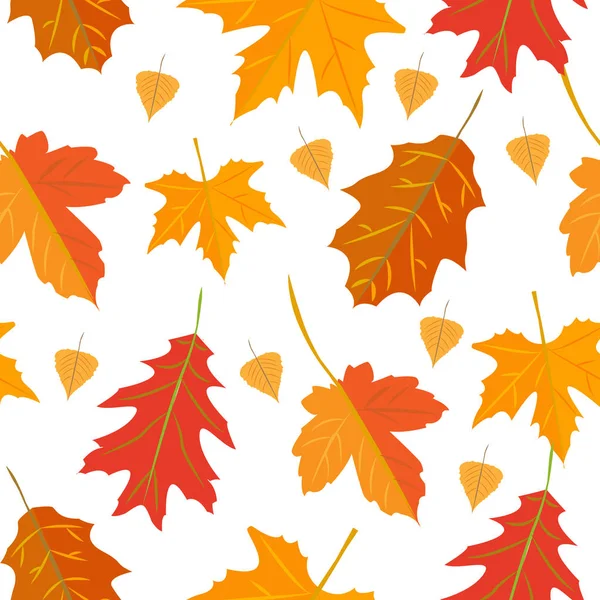 Seamless vector pattern with colorful oak autumn leaves — Stock Vector
