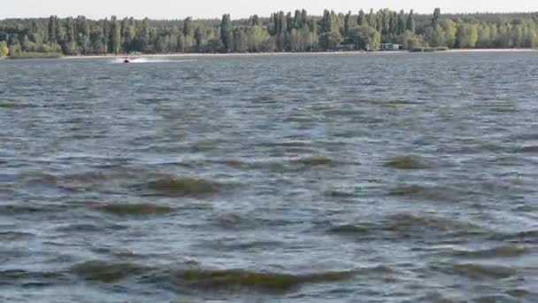 Rivière Village et arbres forestiers verts. Vélo d'eau 