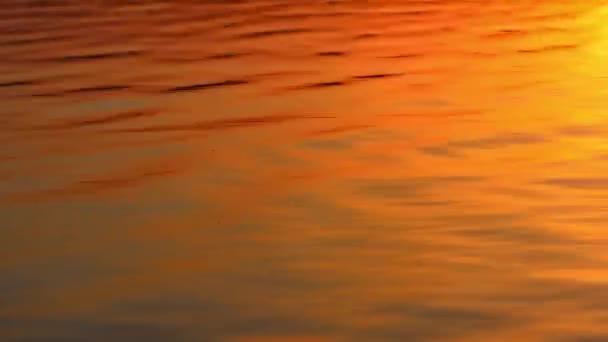 Le soleil se reflète dans les vagues de la mer pendant le coucher et le lever du soleil, laps de temps — Video