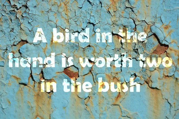 Ένα πουλί στο χέρι αξίζει δύο στον θάμνο. λόγια εκτύπωσης στον μεταλλικό τοίχο grunge — Φωτογραφία Αρχείου
