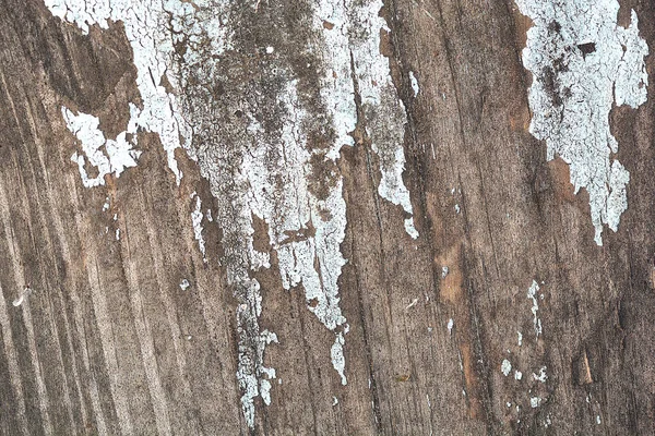 Texture of grunge wood background closeup — Stock Photo, Image