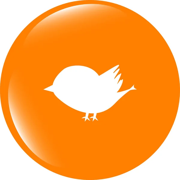Glossy site isolé et icône web internet avec symbole oiseau — Photo