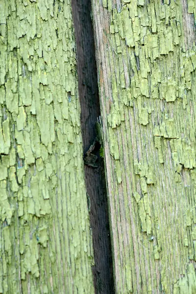 Podłoże drewniane tekstury. Drewniane płyty z bliska — Zdjęcie stockowe