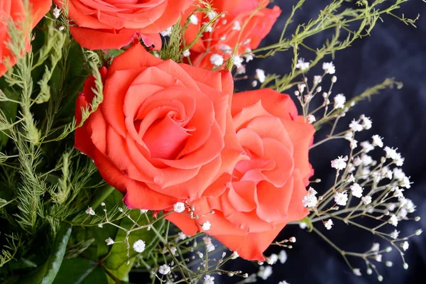 Vue rapprochée de la belle rose rouge foncé. Bouquet de luxe en roses rouges — Photo