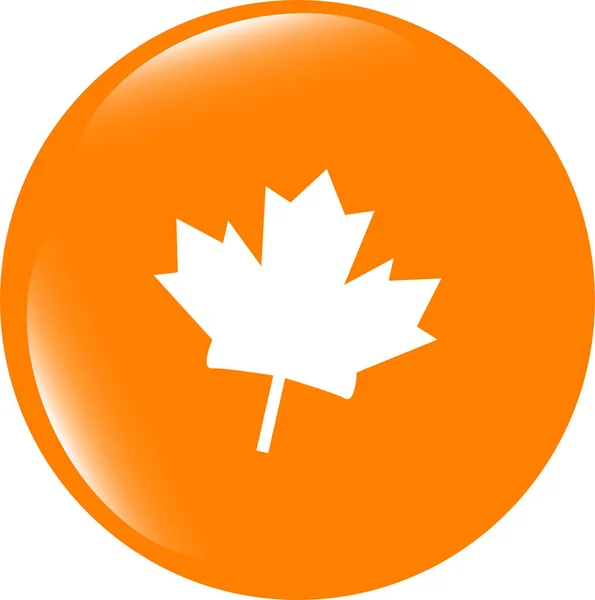 Mapple leaf icon glassy web button . Flat sign isolated on white background — Stock Photo, Image