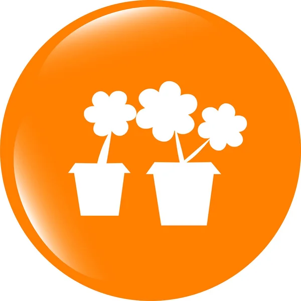 Bloempot met plant - web icon knop geïsoleerd — Stockfoto