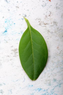 soyut çiçek arka planda vintage tarzı. eski suluboya zemin üzerine çiçek