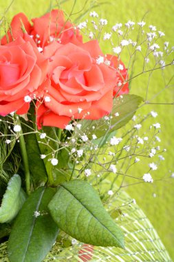 çiçek açması koyu kırmızı Gül Vazosu, buket çiçek kadar kapatın