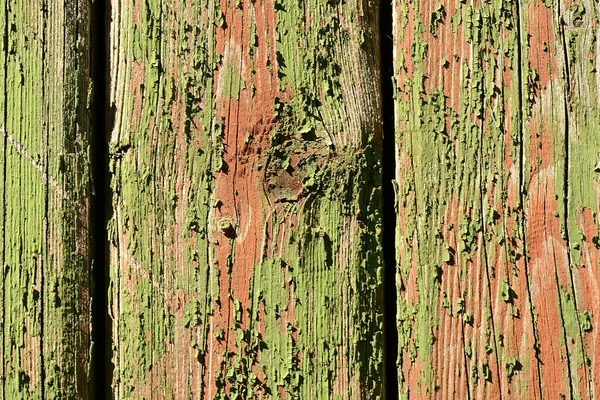Naturliga Gröna Trä Textur Med Mängd Knop Och Ring Linjer — Stockfoto
