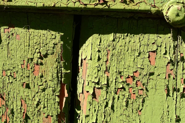 Textura Madera Verde Natural Con Una Variedad Nudos Líneas Anillo — Foto de Stock