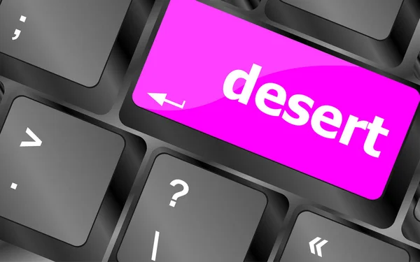 Computer Keyboard Key Desert Internet Concept — Stock Photo, Image