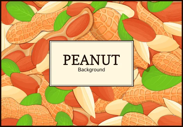 The rectangular frame on peanut background. Vector card illustration. Nuts ,  fruit in the shell, whole, shelled, leaves, appetizing looking for packaging design of healthy food — Stock Vector