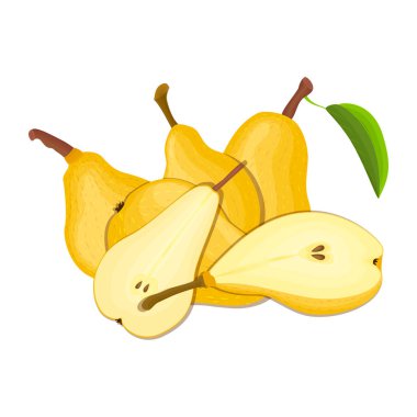 Birkaç armut bileşimi. Sarı vektör armut meyve bütün ve dilim iştah açıcı arıyorum. Ambalaj suyu, Kahvaltı, sağlıklı beslenme, vejetaryenlik için Grup lezzetli renkli tasarım