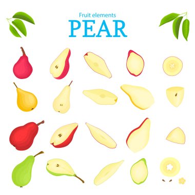 Farklı renkler meyve vektör kümesi. Armut meyve, Bütün, yarım adet soyulmuş, dilim, yaprak, tohum. Ambalaj tasarım el ilanı sağlıklı beslenme içinde koleksiyon lezzetli armut tasarımcı öğeleri için kullanın