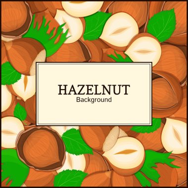 Fındık arka plan üzerinde dikdörtgen çerçeve. Vektör kartı çizim. Fındık, ceviz meyve kabuğu, Bütün, kabuklu, yaprakları, sağlıklı gıda ambalaj tasarımı için seyir iştah açıcı