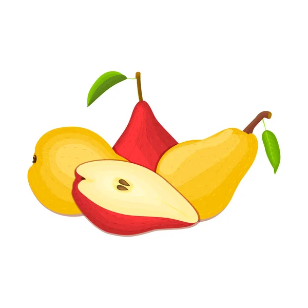 Több körte összetétele. Sárga és piros vektor körte gyümölcs, étvágygerjesztő keres. Csoportos ízletes színes design csomagolás lé, reggeli, egészséges táplálkozás, vegetáriánus — Stock Vector