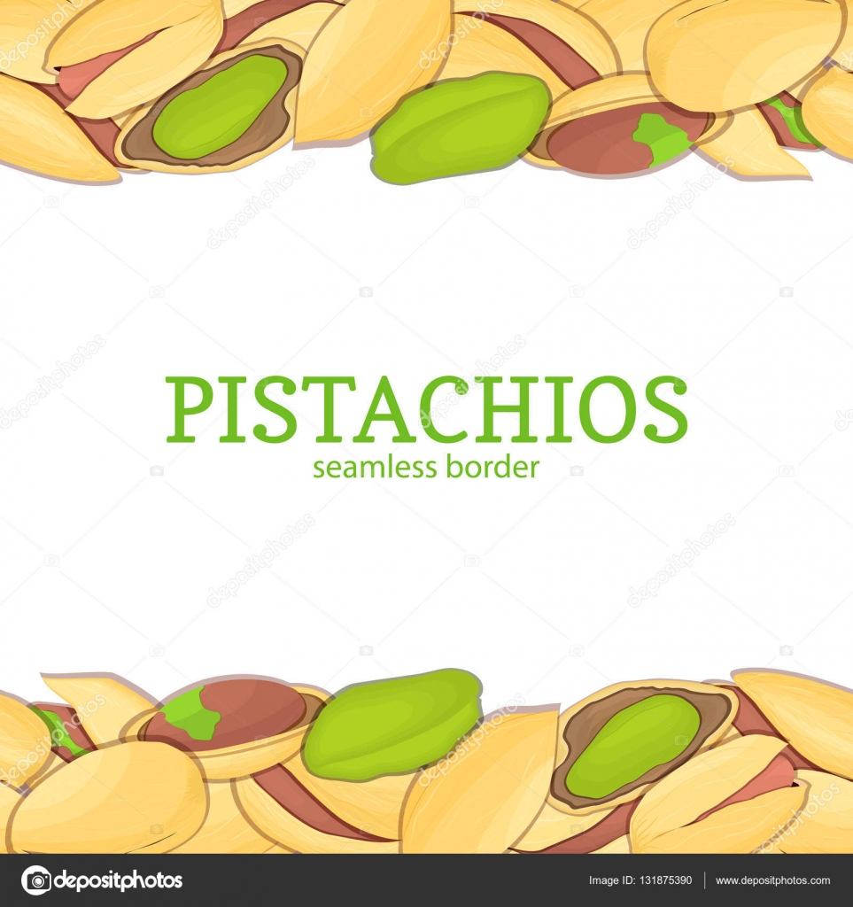 Vettoriale illustrazione carta superiore e inferiore di una deliziosa pistacchi foglie frutta in guscio intero sgusciata appetitoso cercando cibo sano