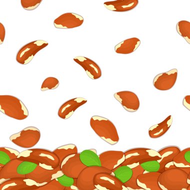 Düşen brazilnut fındık vektör Illustration. Arka plan Brezilyalı bir deli. Desen ceviz meyve kabuğu, Bütün, kabuklu, yaprakları tasarım sağlıklı gıda ambalaj için seyir iştah açıcı