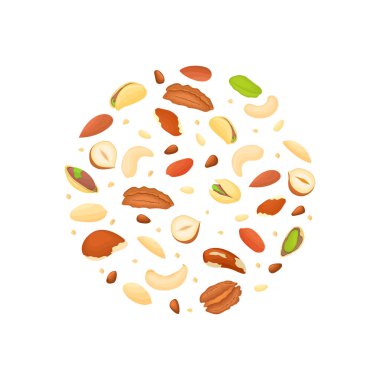 Renkli çerçeve farklı fındık oluşan yuvarlak Brezilya, kaju fıstığı, fıstık, ceviz, çam, fıstık. Vektör kartı çizim. Senin metin ambalaj tasarım öğesi için bir yer olan daire.