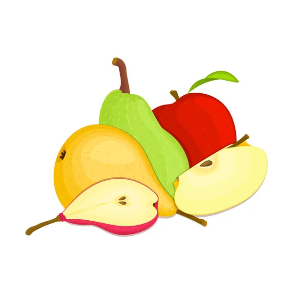 Összetétele több körte és alma. Vektor érett gyümölcsök egész szelet, étvágygerjesztő keres. Csoport a finom design a csomagolás lé, reggeli, egészséges táplálkozás, vegetáriánus — Stock Vector