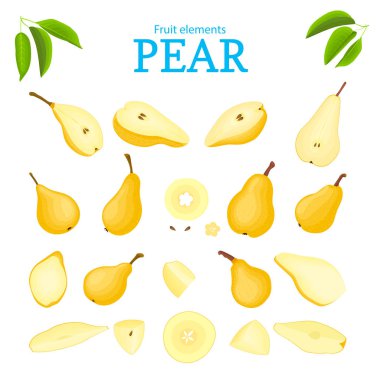 Vektör sarı meyve ayarlayın. Armut meyve, Bütün, yarım adet soyulmuş, dilim, yaprak, tohum. Ambalaj tasarım projeleri el ilanı sağlıklı beslenme içinde koleksiyon lezzetli armut tasarımcı öğeleri için kullanın