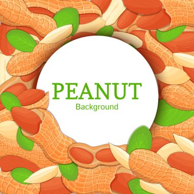 Fıstık fındık arka plan üzerinde yuvarlak beyaz çerçeve. Vektör kartı çizim. Daire içine fındık, ceviz meyve kabuğu, Bütün, kabuklu, yaprakları sağlıklı gıda ambalaj tasarımı için seyir iştah açıcı