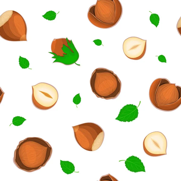 Vector naadloze patroon hazelnoot moer. Illustratie van gepelde noten en in shell geïsoleerd op een witte achtergrond, die het kan worden gebruikt als verpakking ontwerpelement afdrukken van brochures gezond vegetarisch dieet — Stockvector