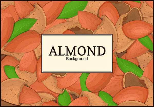 The rectangular frame on almond nut background. Vector card illustration. Nuts , almonds fruit in the shell, whole, shelled, leaves appetizing looking for packaging design of healthy food, menu