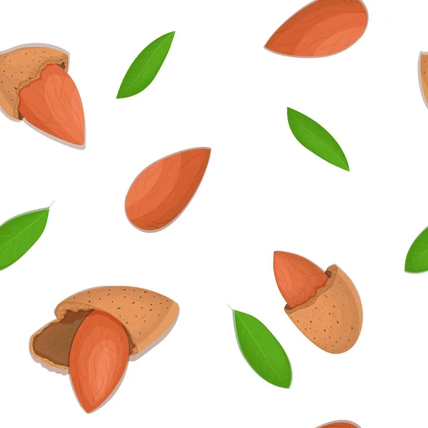Pola vektor kacang almond mulus. Ilustrasi kacang kupas dan cangkang yang diisolasi pada latar belakang putih dapat digunakan sebagai elemen desain kemasan, mencetak brosur makanan vegetarian yang sehat - Stok Vektor