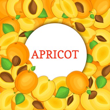 Olgun kayısı zemin üzerine yuvarlak beyaz çerçeve. Vektör kartı çizim. Lezzetli taze ve sulu bütün, tohum soyulmuş yarım dilim parçası bırakır. iştah açıcı tasarım gıda ambalaj için arıyorsunuz