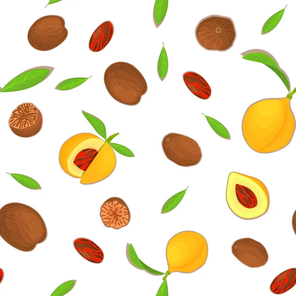 Patrón sin costura vectorial Fruta de especias de nuez moscada. Fondo blanco con tuercas en la cáscara, enteras, sin cáscara, hojas apetitosas en busca de diseño de alimentos saludables, impresión en tela, textil — Vector de stock