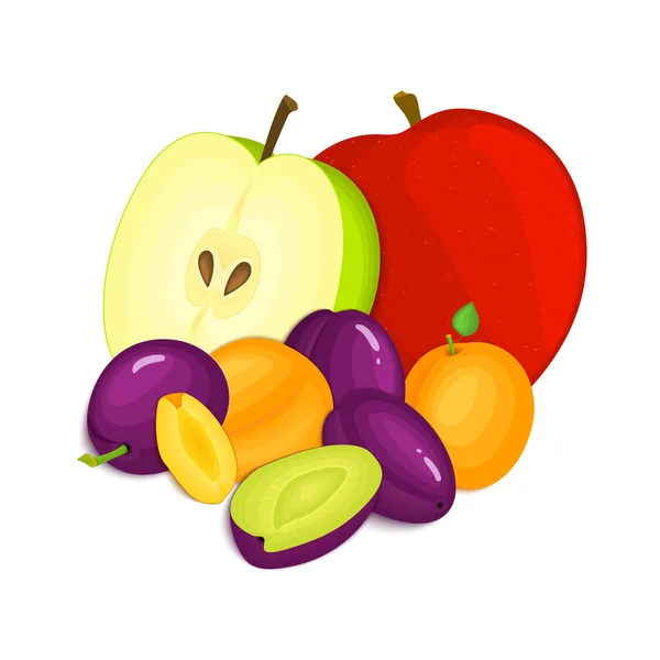 Összetétele, lédús szilva sárgabarack és alma. Vektor érett gyümölcsök egész szelet, étvágygerjesztő keres. Csoport a finom design a csomagolás lé, reggeli, egészséges táplálkozás, vegetáriánus — Stock Vector